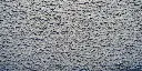 anti-slip-floor-paint600x300.webp